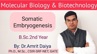 Somatic embryogenesis PTC Hindi amp English By DrAmrit Daiya 480p [upl. by Kyl]