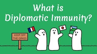 What is Diplomatic Immunity [upl. by Atinna867]