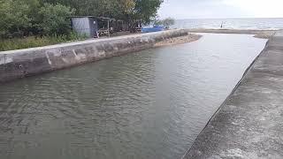 Taculing bridge Larena Siquijor 31102024 [upl. by Layne]