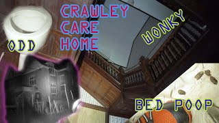 Crawley Care Home POOP FOUND IN HOMELESS BED [upl. by Oicatsana746]