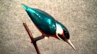 Kingfisher by Tim Cotterill Frogman [upl. by Myrtle]