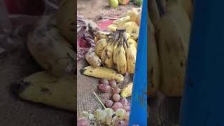 Fruit tahirapakistani bestvlogging dailyroutine pakistan tahirapakistani sitarayaseen vlog [upl. by Rma]