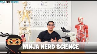 Welcome to Ninja Nerd Science [upl. by Aneles8]