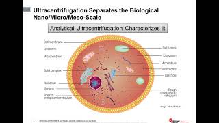 An Introduction to characterization of biomolecules using analytical ultracentrifugation [upl. by Spencer]