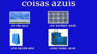 Jump Start Brazilian Portuguese  Lesson 4  Using Nouns and Articles Objects and Colors [upl. by Enneicul672]