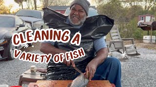 CLEANING A VARIETY OF FISH WITH MR JAMES fypyoutube cleaningfish explorepage fishing [upl. by Yentuoc]