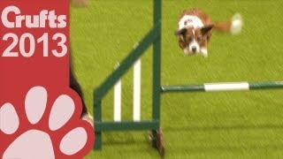 Rescue Dog Agility  Day Two  Crufts 2013 [upl. by Assek572]