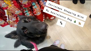 Christmas Shopping Day Out With My ServiceAssistance Dog  Vlog 10 [upl. by Lledniw]