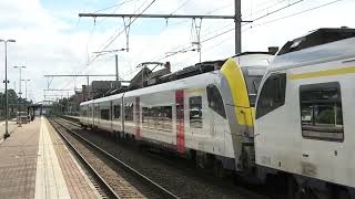 NMBS SNCB  AM08 MR08  Siemens Desiro ML  Kontich  Lint  Brttrainz  Belgie  BE [upl. by Yordan]