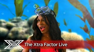 Louis Gap Year Down Under with Sinitta  The Xtra Factor Live 2016 [upl. by Aletse]