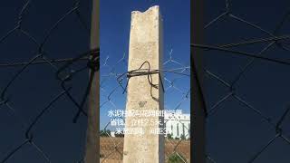 Concrete post or column or beam for BARBED and STRAINED wireused for Cattle Rearing [upl. by Mathews]