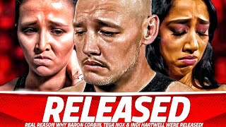 REAL REASON BARON CORBIN INDI amp TEGAN NOX GOT RELEASED BY WWE [upl. by Durward296]