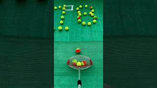 🎾The fastest tennis ball collector 🎾 smalleyes gaming games golfmates tennisball [upl. by Yeung72]