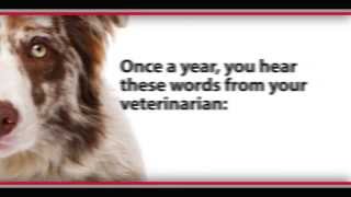 The Test Your Pet Should Take [upl. by Cathi]