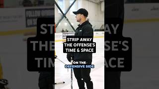 STRIP AWAY THE OFFENSES TIME amp SPACE hockeydevelopment hockeytraining [upl. by Kape335]