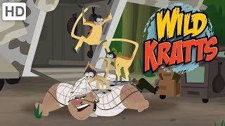 Wild Kratts  Animals Fight Back 30 MINUTES [upl. by Bartholomeus]