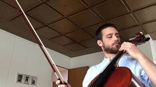 ZuccaCello  Moldau Theme Cello almost 3 month progress [upl. by Odareg11]