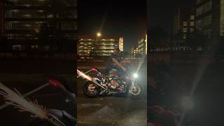 BMW S1000RR Sound🔥 [upl. by Keiryt231]