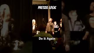 Pretzel Logic  Do it Again [upl. by Yrogerg]