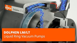 DOLPHIN LMLT Series Liquid Ring Vacuum Pumps – Busch Vacuum Solutions [upl. by Koorb]