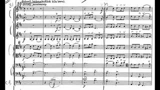 Franz Schreker  Intermezzo for String Orchestra Op 8 1900 ScoreVideo [upl. by Karrie]