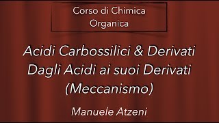 Chimica organica Dagli acidi carbossilici ai derivati degli acidi considerazioni importanti L119 [upl. by Obe]