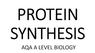 GCSE Biology  DNA Part 1  Genes and the Genome 63 [upl. by Orville]