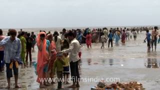 Waves near Shiva temple in the sea Bhavnagar [upl. by Alekal170]