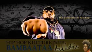 Afrika Bambaataa On Hip Hop History and Culture [upl. by Kaiser]