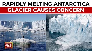 Massive Melting Glacier Causes Concerns As Experts Warn Of Significant Sea Level Rise [upl. by Otilia]