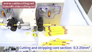 0 3 25mm2 Wire Harness Wire Cutting Stripping Machine Cable Stripper Wire Peeling Machine [upl. by Iatnwahs]