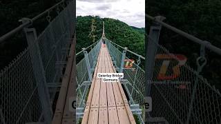 Geierlay Bridge in Germany shorts europe travel germany [upl. by Arima]