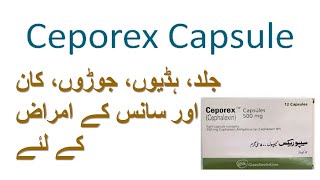 ceporex capsule 500mg uses  ceporex  cephalexin [upl. by Champ]