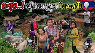 ຕະລຸຍໝູ່ບ້ານກາງພູຜາຂອງຊົນເຜົ່າມົ້ງໃນລະດູຝົນ  ตะลุยหมู่บ้านกลางภูเขาของชนเผ่าม้งในฤดูฝน [upl. by Morena]