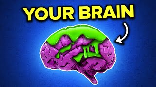 Brain Rot Is Holding You Back [upl. by Donadee]