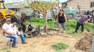 Ale Viene Aplantar Unas plantasy mira si los árboles pegaron ono aquí en la nueva casa 🏡 [upl. by Asilat823]