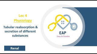 Lec 4  Physiology  Tubular reabsorption amp secretion of different substances 1  Renal [upl. by Euginimod806]