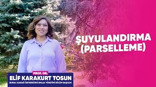 Parselasyon nedir Şuyulandırma Nedir [upl. by Lorrayne]