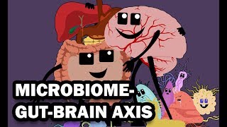 THE GUT MICROBIOME AND THE BRAIN [upl. by Atikir]