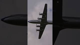 The Beauty Douglas DC6B  The Flying Bulls [upl. by Bernstein]