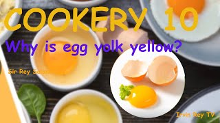 cooking Why is egg yolk yellow [upl. by Esilahc]