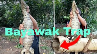 How to Make bayawak Trap or Monitor Lizard trap [upl. by Whetstone]