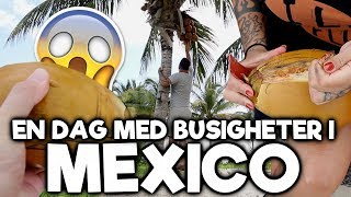 BUSIGHETER I MEXICO [upl. by Lilllie]