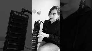 Yalan dünya  Melodica Elham Saee [upl. by Airom]