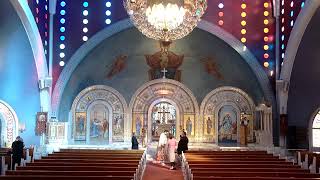 St Nektarios the Wonderworker 09 November 2024 [upl. by Lonyer269]