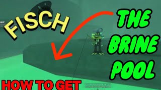 How to get to The BRINE POOL in Fisch [upl. by Willumsen]