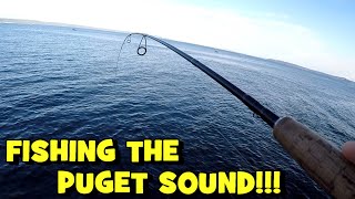 The PUGET SOUND Exploration BEGINS Edmonds WA  EP1 [upl. by Eremihc]