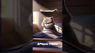 Sunlight Struggles The Grumpy Cats Morning Battle [upl. by Anahsar]