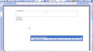 Word 2003 Basico Numerar las páginas  wwwofimaticaparatorpescom [upl. by Danna]