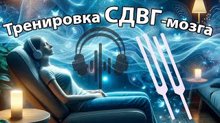 Бинауральная тренировка СДВГмозга 🎧 НАДЕВАЙТЕ НАУШНИКИ [upl. by Redwine]